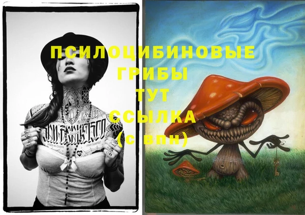 шишки Зеленодольск