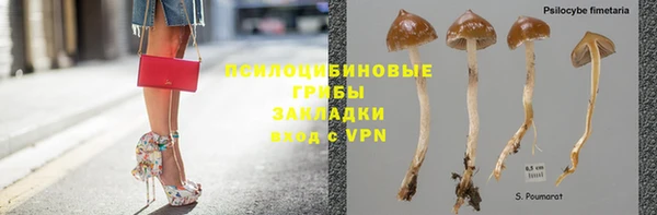 Альфа ПВП Зеленокумск